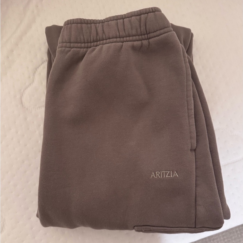 Aritzia Cozy Sweatfleece Mega Cargo Sweatpant in Medium - Picture 4 of 4